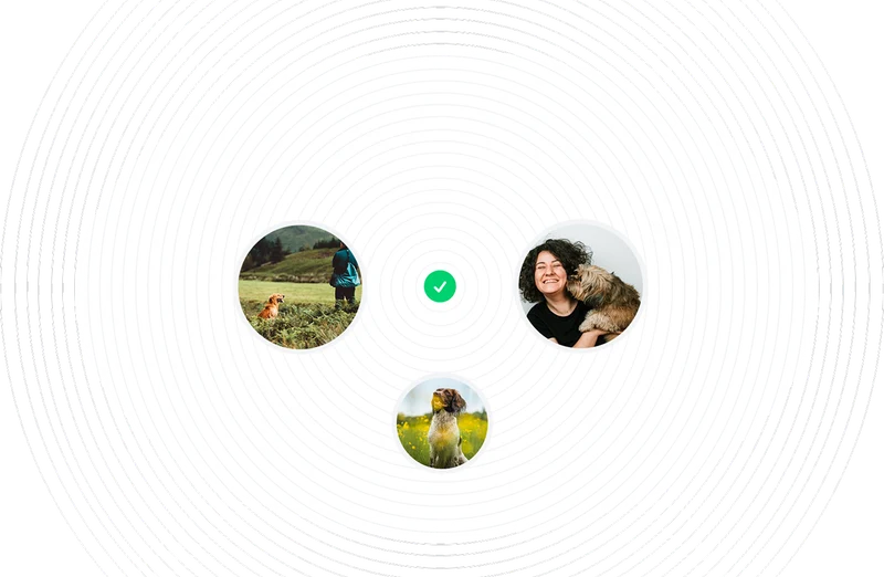 Relationship visualization diagram